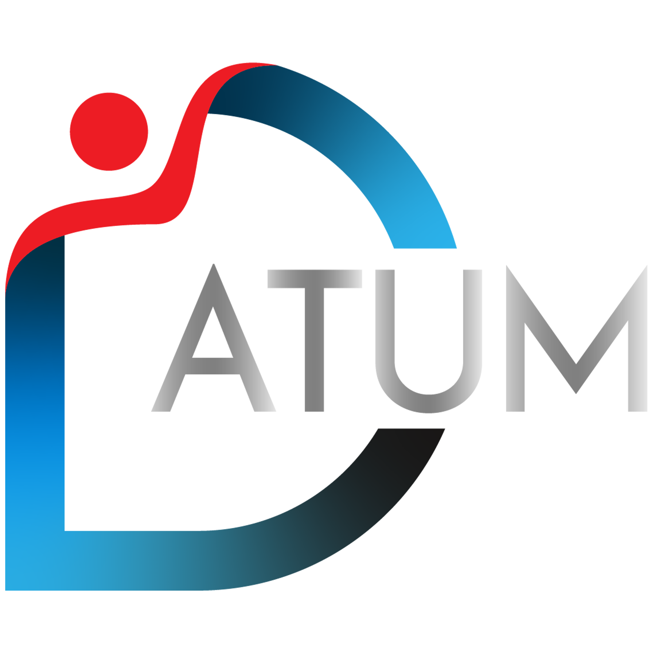 Datum solution - footer logo
