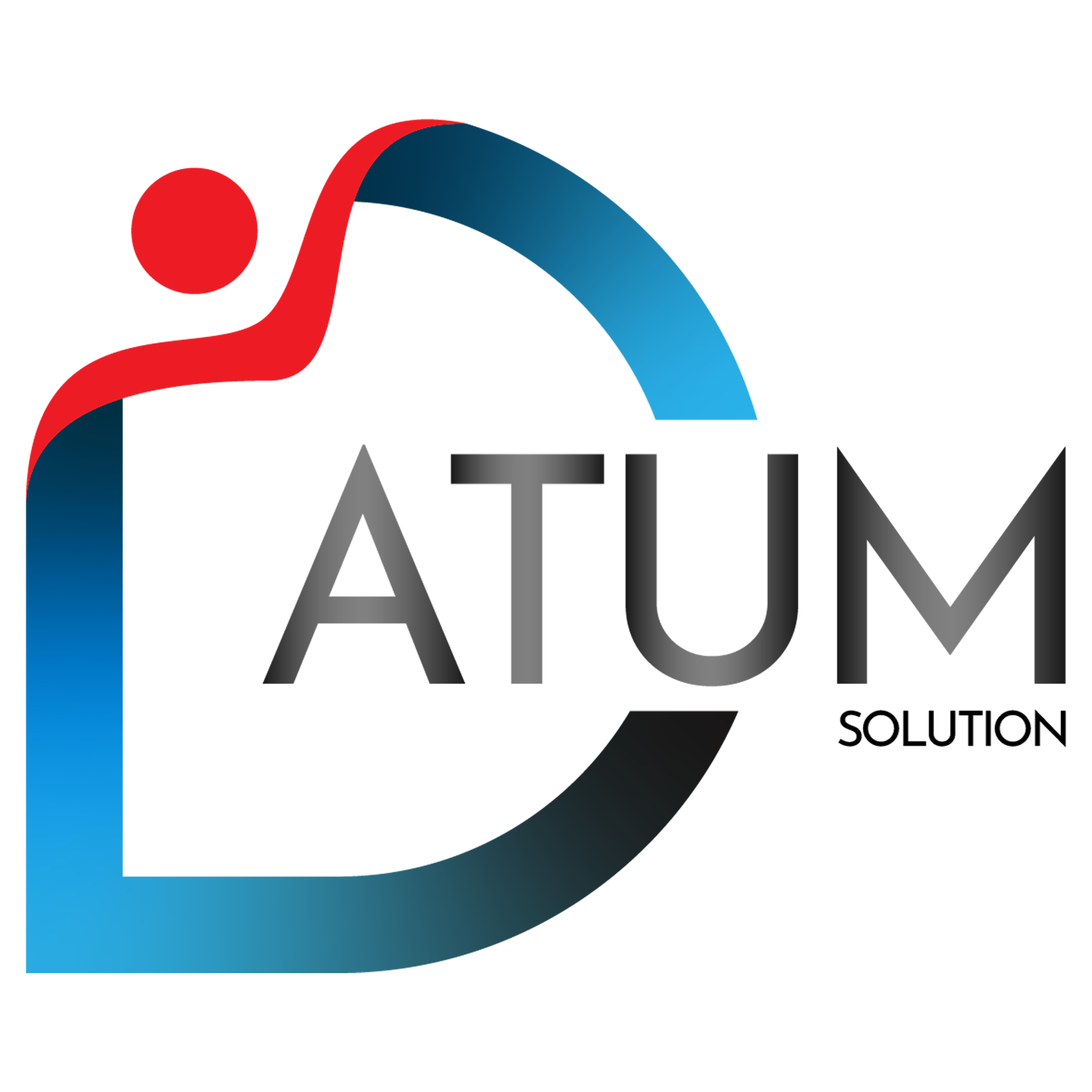 Datum solution original logo