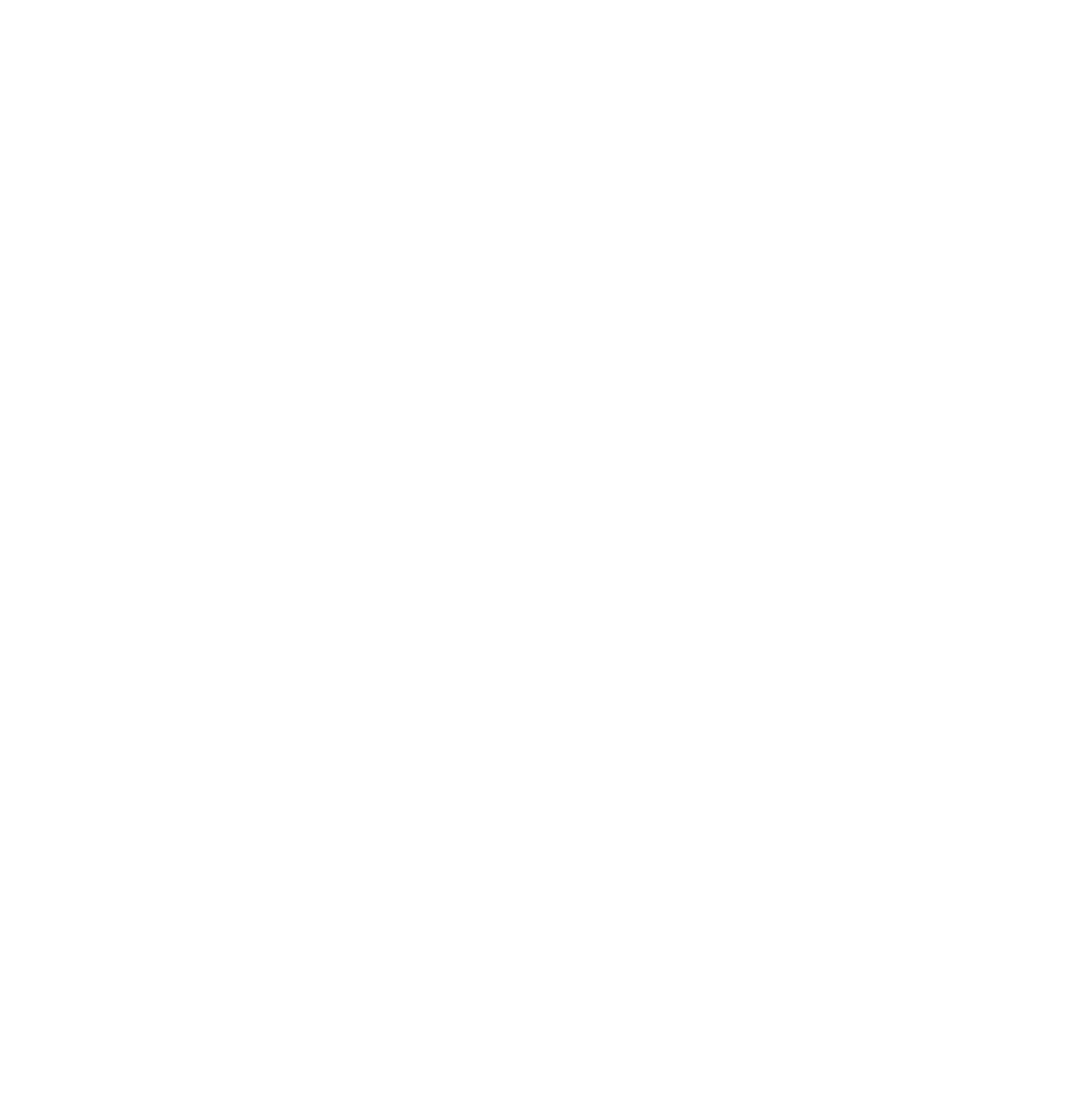 Datum Solution White Logo