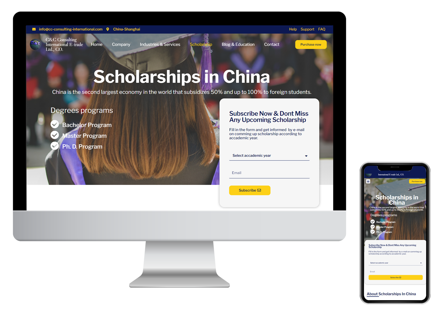 Portfolio image of cc-consulting-international website